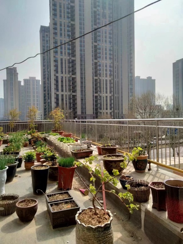 陽臺不銹鋼護欄廠家怎么選？